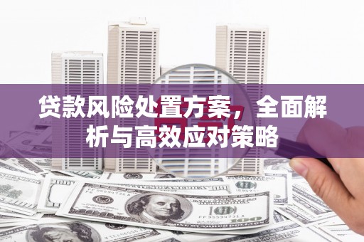 汾阳贷款风险处置方案，全面解析与高效应对策略