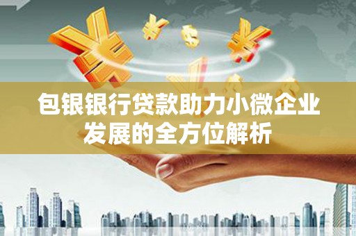 汾阳包银银行贷款助力小微企业发展的全方位解析