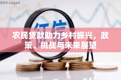 汾阳农民贷款助力乡村振兴，政策、挑战与未来展望