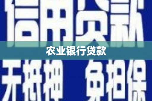 汾阳农业银行贷款