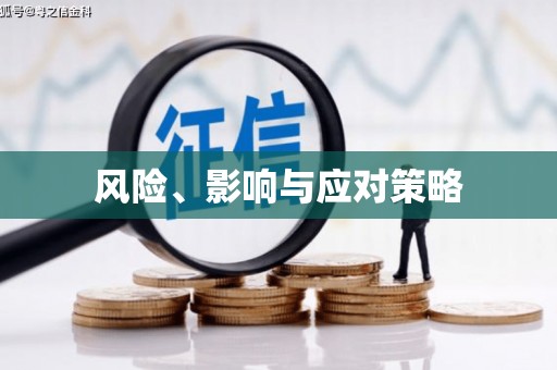 汾阳风险、影响与应对策略