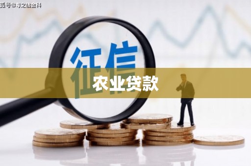 汾阳农业贷款