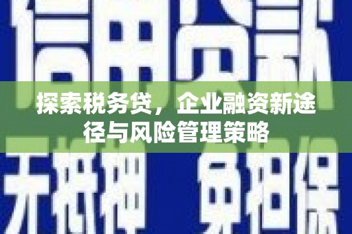 汾阳探索税务贷，企业融资新途径与风险管理策略