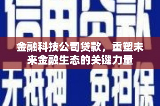汾阳金融科技公司贷款，重塑未来金融生态的关键力量