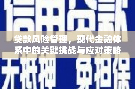 汾阳贷款风险管理，现代金融体系中的关键挑战与应对策略