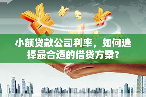 汾阳小额贷款公司利率，如何选择最合适的借贷方案？