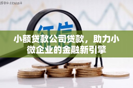 汾阳小额贷款公司贷款，助力小微企业的金融新引擎