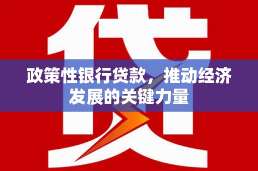 汾阳政策性银行贷款，推动经济发展的关键力量