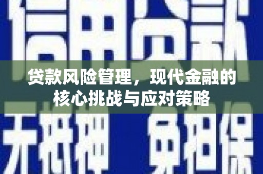 汾阳贷款风险管理，现代金融的核心挑战与应对策略