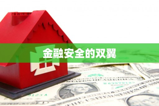 汾阳金融安全的双翼