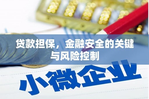 汾阳贷款担保，金融安全的关键与风险控制