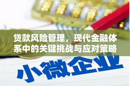 汾阳贷款风险管理，现代金融体系中的关键挑战与应对策略