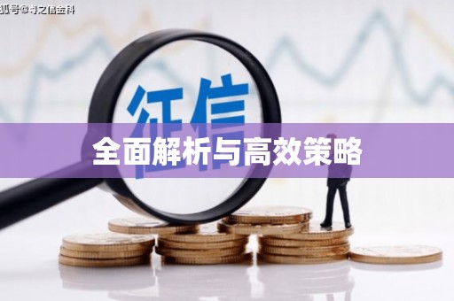 汾阳全面解析与高效策略
