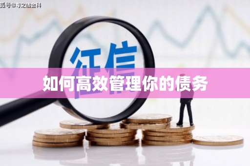 汾阳如何高效管理你的债务
