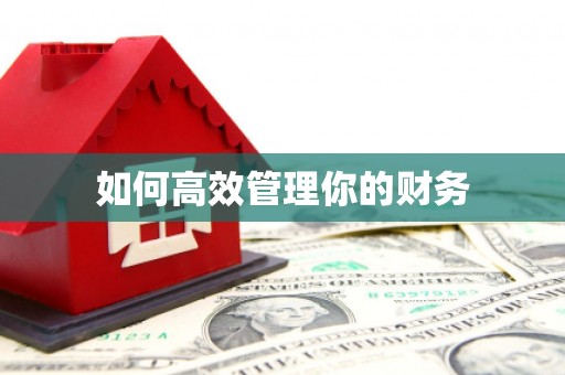 汾阳如何高效管理你的财务