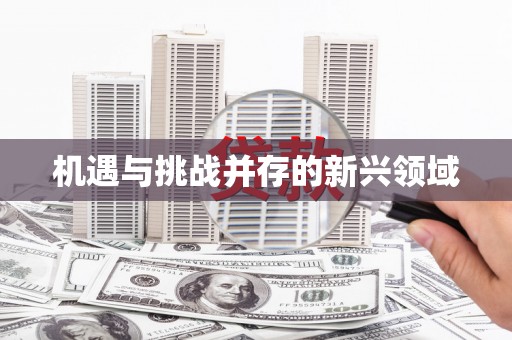 汾阳机遇与挑战并存的新兴领域