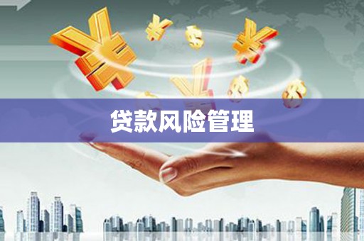 汾阳贷款风险管理