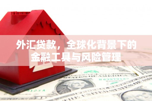 汾阳外汇贷款，全球化背景下的金融工具与风险管理
