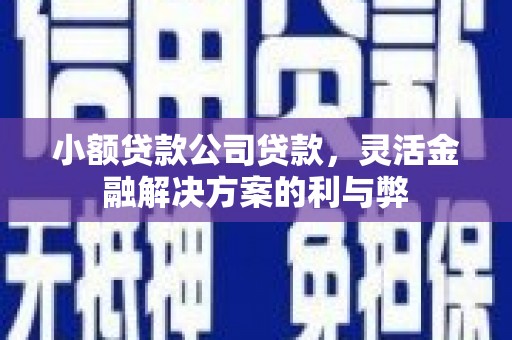汾阳小额贷款公司贷款，灵活金融解决方案的利与弊